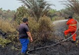 Karhutla Bakar 93,8 Hektare Lahan, BPBD Pekanbaru Siaga