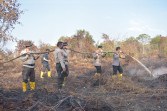 Polda Riau dan Polres Inhu Bahu Membahu Pendinginan Lahan Terbakar