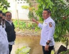 Banjir Sudirman Masuk Fokus Penanganan, Pemko Pekanbaru Gandeng Pemprov Riau Benahi Drainase