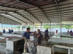 450 Pedagang Teratai Dipindah, Pemko Pekanbaru Benahi Pasar Higienis