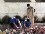 75 Dokter Hewan Turun ke Lapangan, Pastikan Daging Kurban Warga Pekanbaru Aman Dikonsumsi
