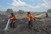Karhutla Mengganas, Rohil Siaga Darurat Hingga November