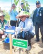 IMT-GT Tanam Pohon di Pekanbaru, Wako Agung: Menanam Pohon Sama dengan Menanam Masa Depan