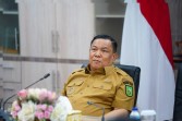 Hotspot Karhutla Riau Turun Drastis, Plt Gubri Minta Pendinginan Gambut Tak Kendor