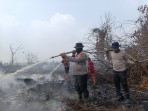 171 Hotspot Kepung Riau, Karhutla Kerumutan Lahap 969 Hektare