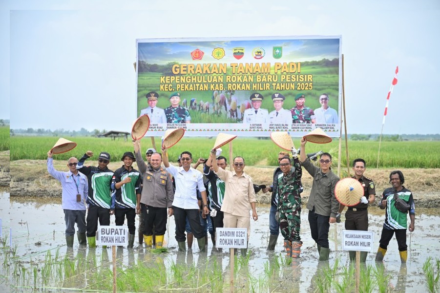 Tinjau Pabrik Kilang Padi di Rokan Baru, Wabup Rohil Dorong Revitalisasi dan Penguatan Sektor Pertanian