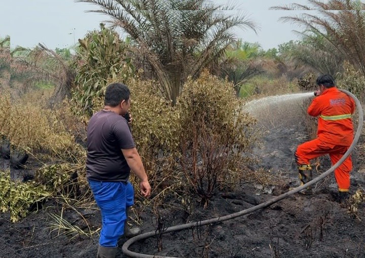 Karhutla Bakar 93,8 Hektare Lahan, BPBD Pekanbaru Siaga