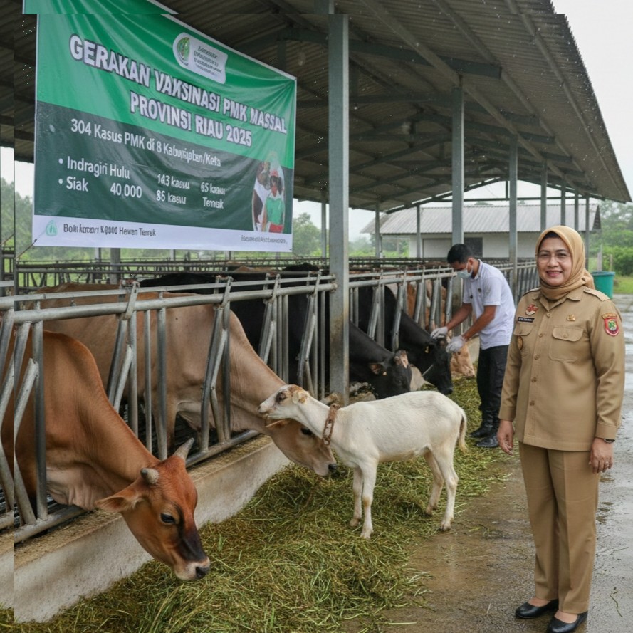 304 Kasus Penyakit Mulut dan Kuku Ditemukan di Riau