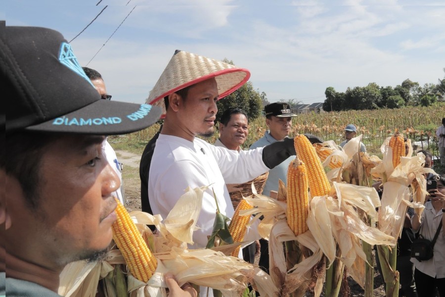 100 Hari Agung-Markarius, Turunkan Tarif Parkir Turun hingga Atasi Banjir di Pekanbaru