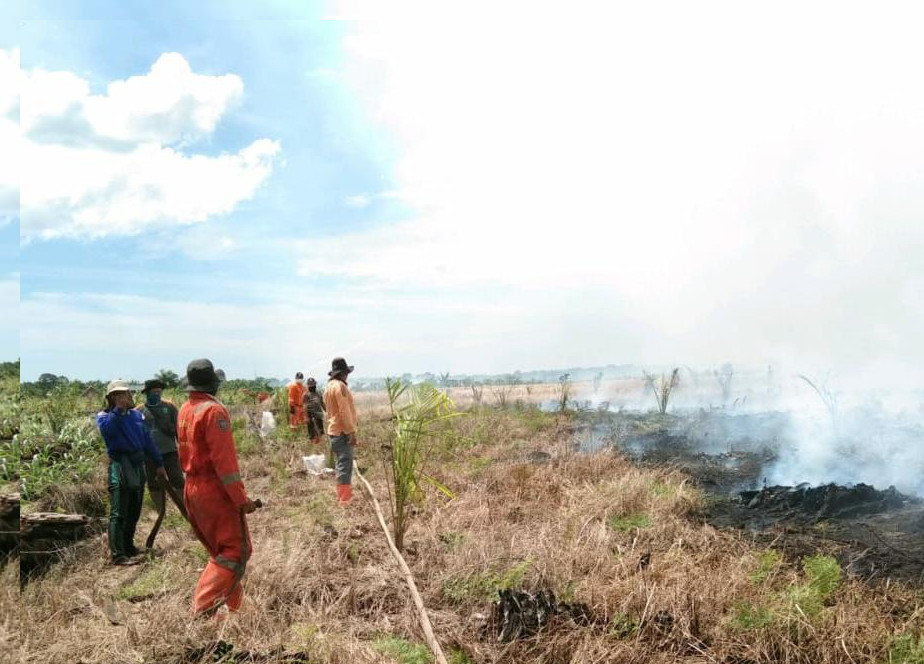 Empat Daerah Ini Sudah Tetapkan Status Siaga Darurat Karhutla di Riau