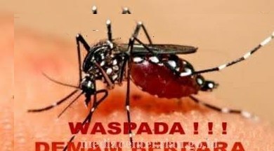 Penyakit DBD Di Riau Meningkat, Ini Total Kasusnya !!!