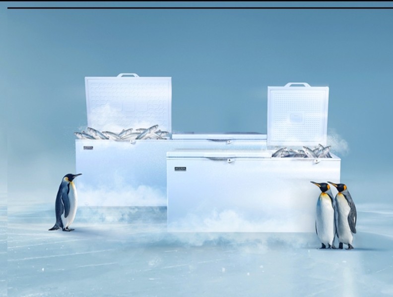 Dukung Kebutuhan Bisnis Berbagai Sektor, MODENA Perkenalkan Chest Freezer Terbaru