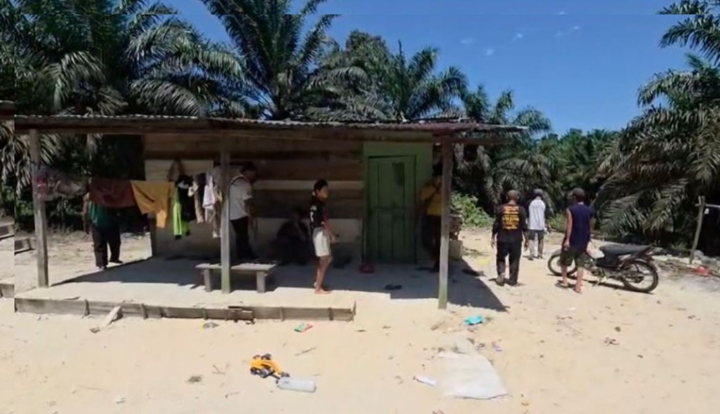 Gajah Liar Mengamuk di Permukiman Rumbai, Satu Anak Dilarikan ke RSUD Arifin Achmad