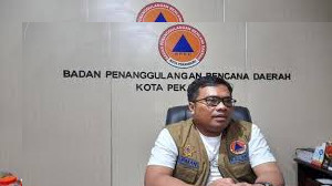 Hingga Pertengahan 2023, BPBD Pekanbaru Catat 36 Kasus Kebakaran Lahan