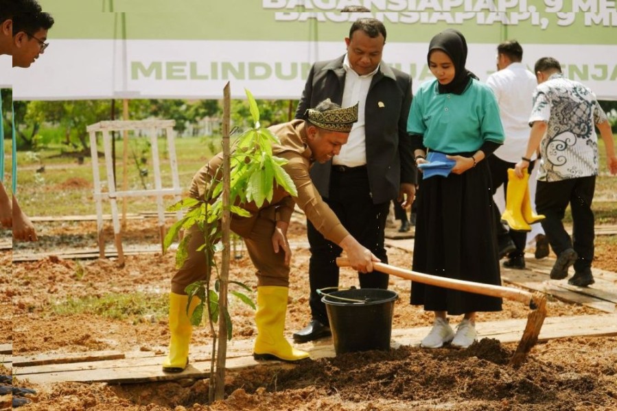 Makna Mendalam Menanam Pohon Ala Gubernur Riau di Rohil