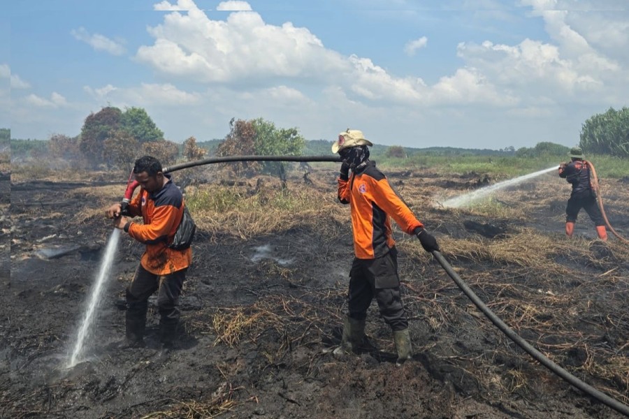 Karhutla Mengganas, Rohil Siaga Darurat Hingga November