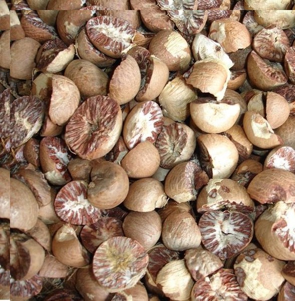 Harga Pinang Kering Riau Tembus Rp14.200 per Kg