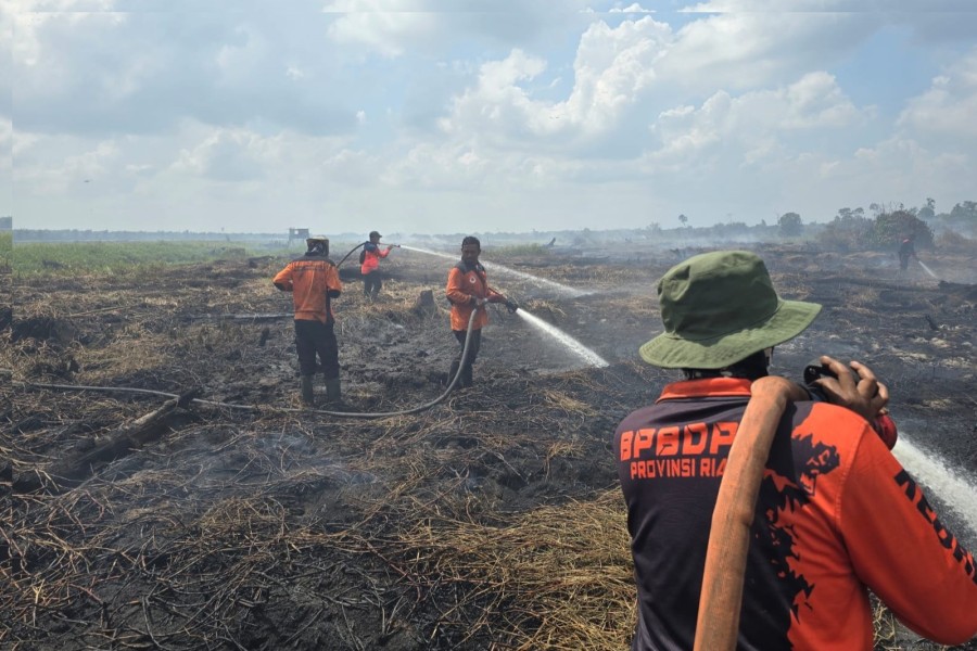 Riau Masuk Zona Prioritas Karhutla Nasional, 15.477 Hektare Terdampak