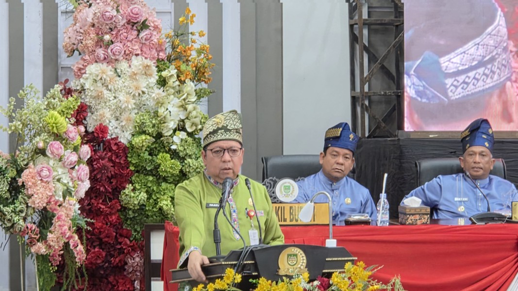 HUT ke-27 Rohul, Pemprov Riau Dorong Kolaborasi dan Program Pusat