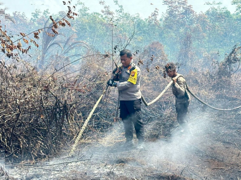 8 Daerah di Riau Tetapkan Status Siaga Darurat Karhutla