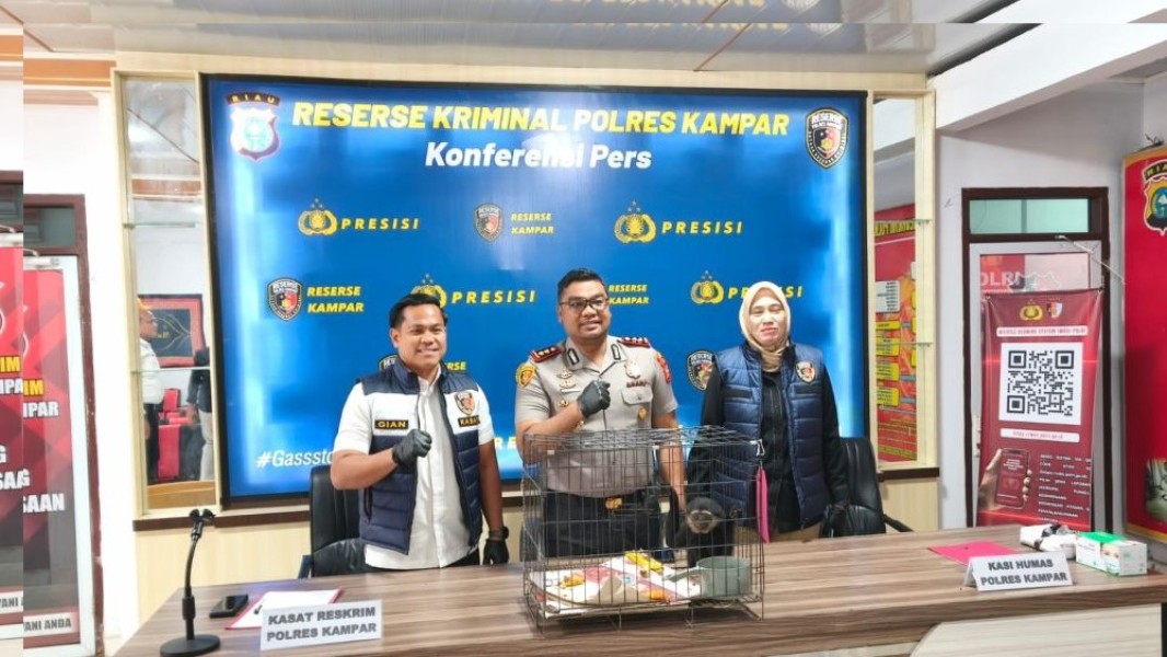 Owa Ungko Dibandrol Rp 8 Juta, Transaksi Ilegal Berakhir di Tangan Polisi