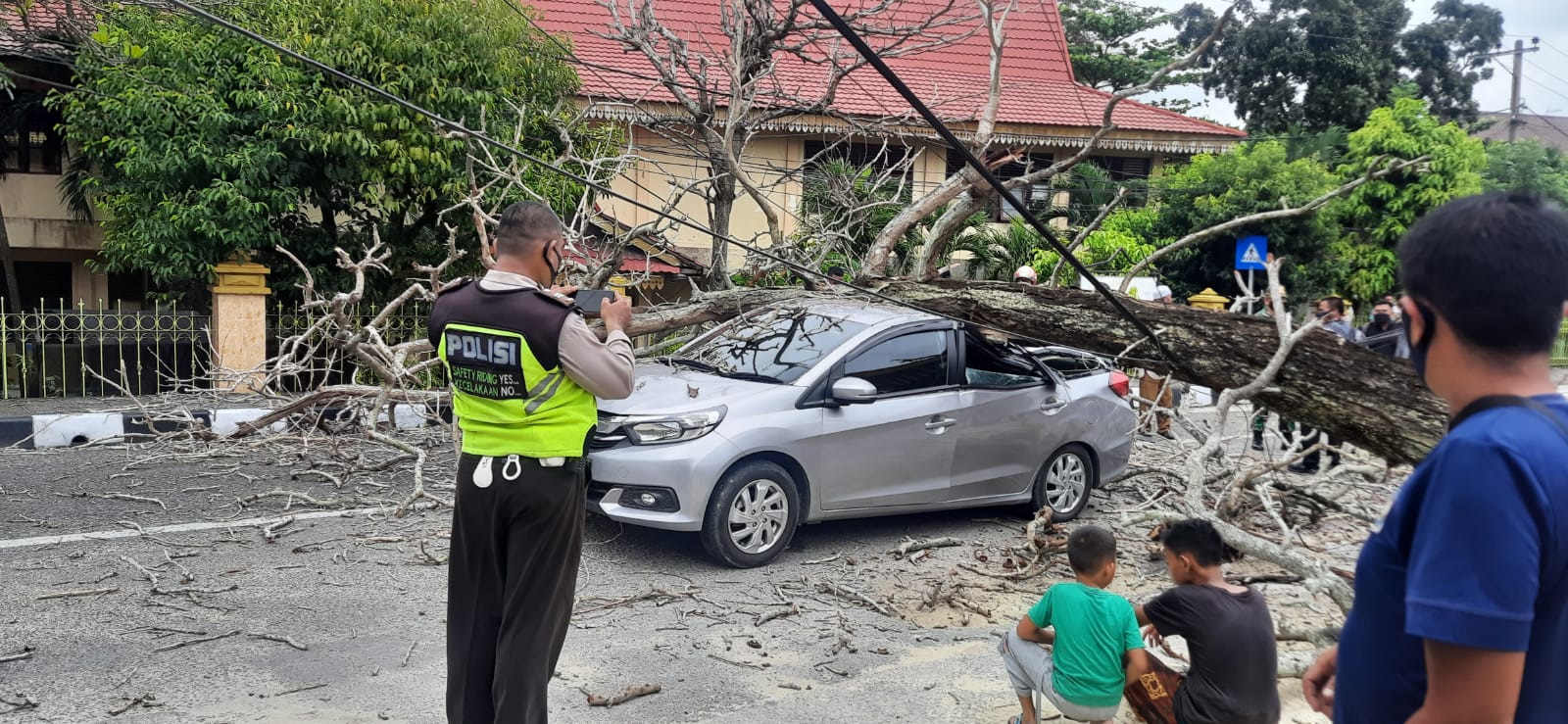 Ditimpa Pohon Tua, Honda Mobilio Ringsek