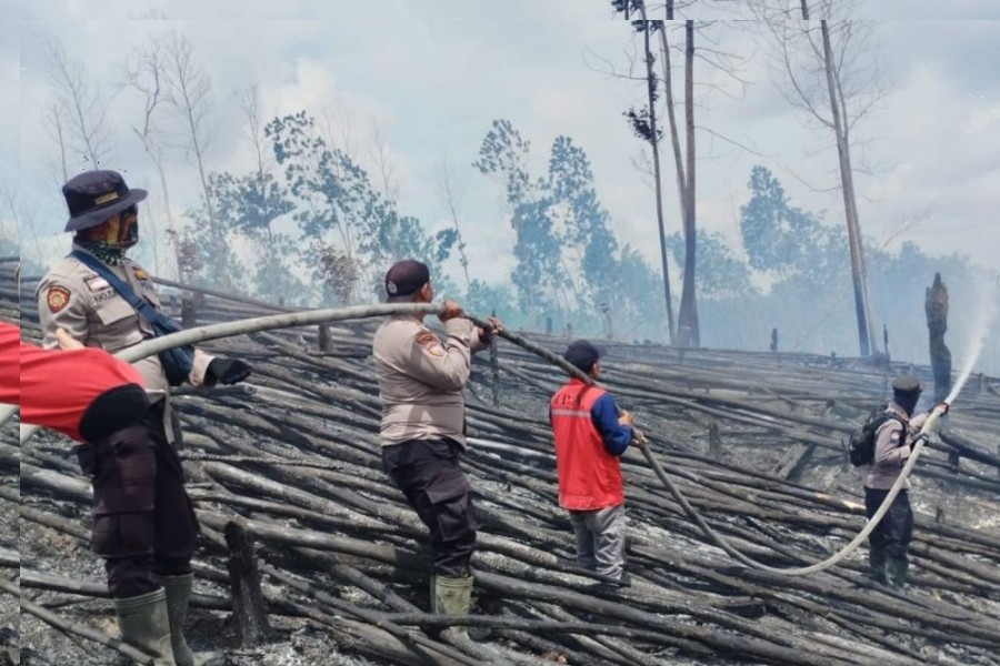 5 Hektare Lahan Habitat Gajah dan Harimau di TNTN Riau Terbakar